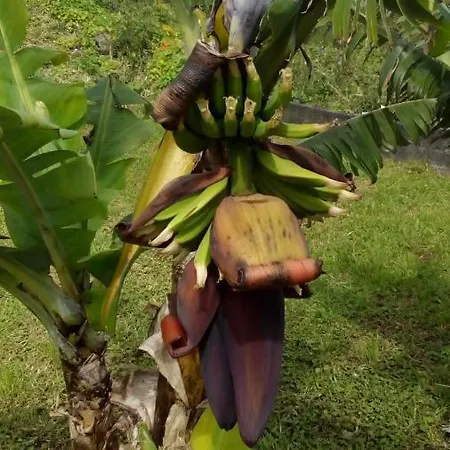 Lejlighed Casa Da American Cable Company