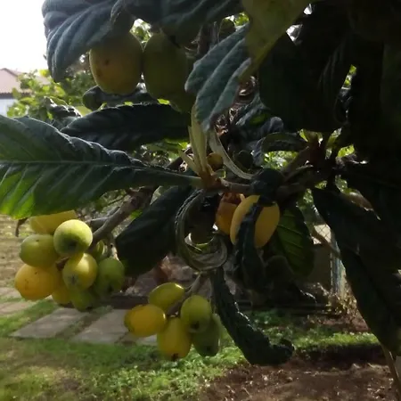 Casa Da American Cable Company * Horta (Azores)