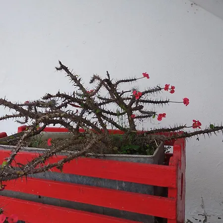 Casa Da American Cable Company Lejlighed Horta (Azores)