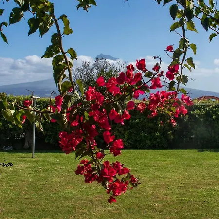 Casa Da American Cable Company Lejlighed Horta (Azores)