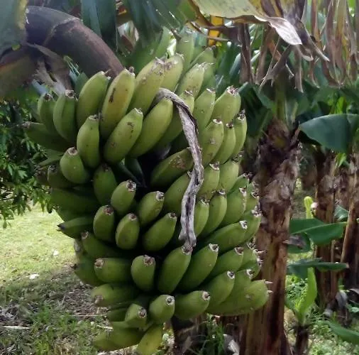 Lejlighed Casa Da American Cable Company