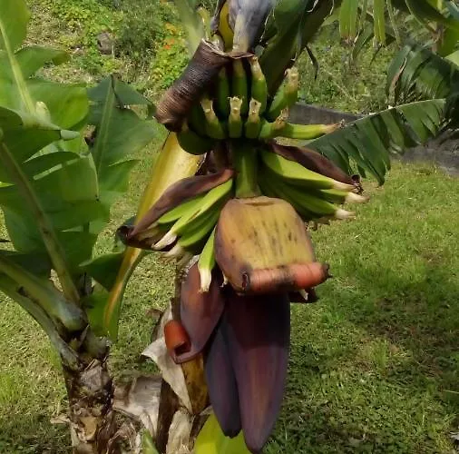 Lejlighed Casa Da American Cable Company